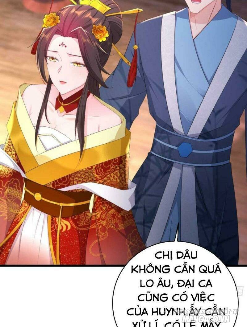 Người Ở Rể Bị Ép Thành Phản Diện Chapter 205 - Trang 2