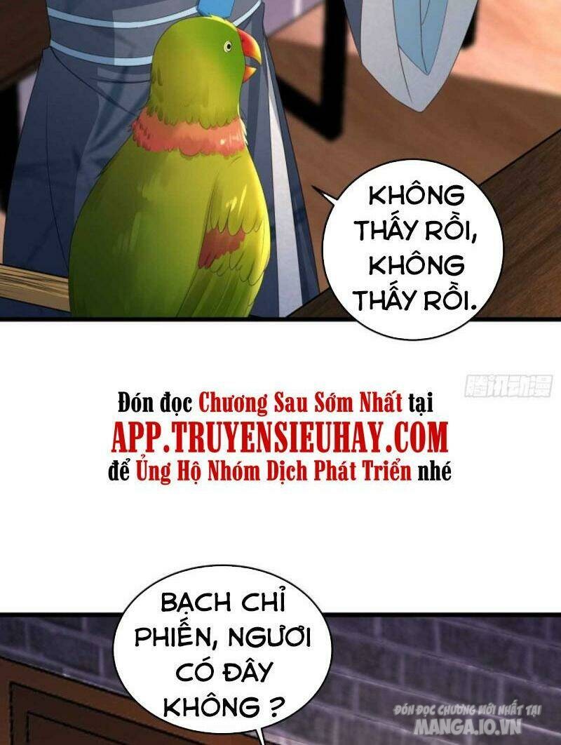 Người Ở Rể Bị Ép Thành Phản Diện Chapter 205 - Trang 2