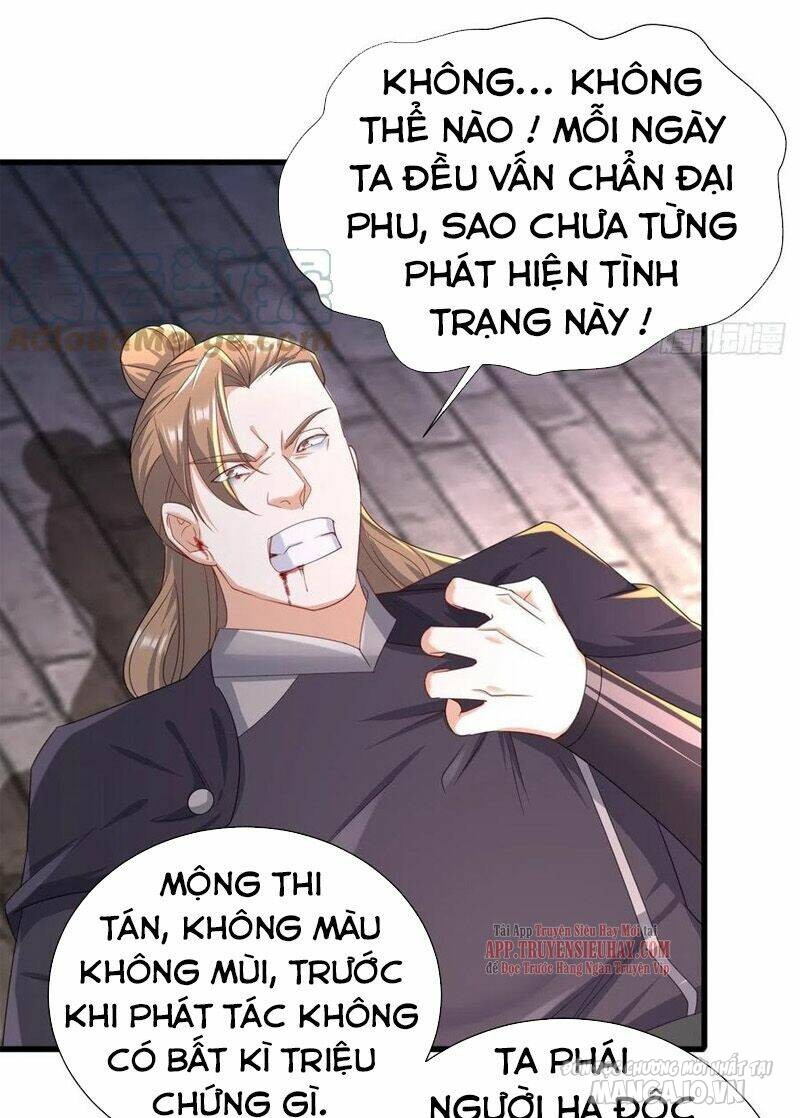 Người Ở Rể Bị Ép Thành Phản Diện Chapter 202 - Trang 2