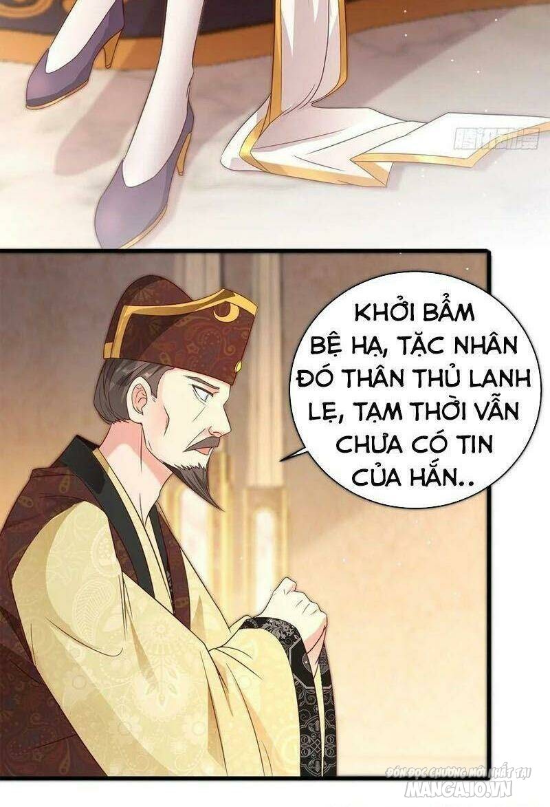 Người Ở Rể Bị Ép Thành Phản Diện Chapter 197 - Trang 2