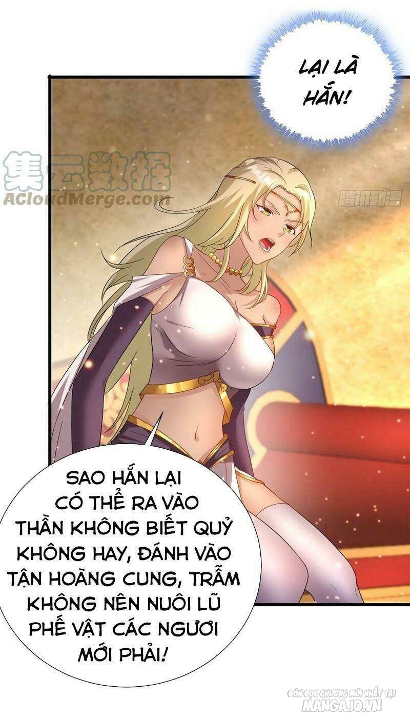 Người Ở Rể Bị Ép Thành Phản Diện Chapter 197 - Trang 2