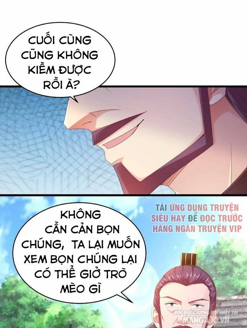 Người Ở Rể Bị Ép Thành Phản Diện Chapter 194 - Trang 2