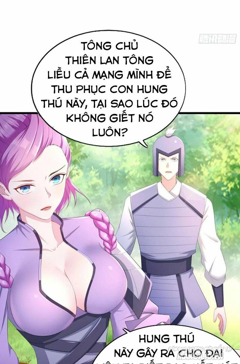 Người Ở Rể Bị Ép Thành Phản Diện Chapter 194 - Trang 2