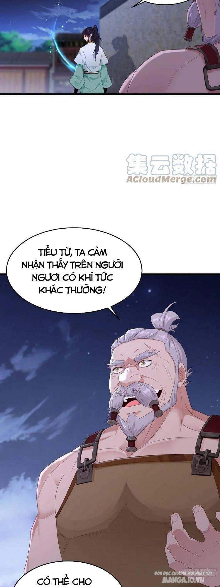 Người Ở Rể Bị Ép Thành Phản Diện Chapter 184 - Trang 2