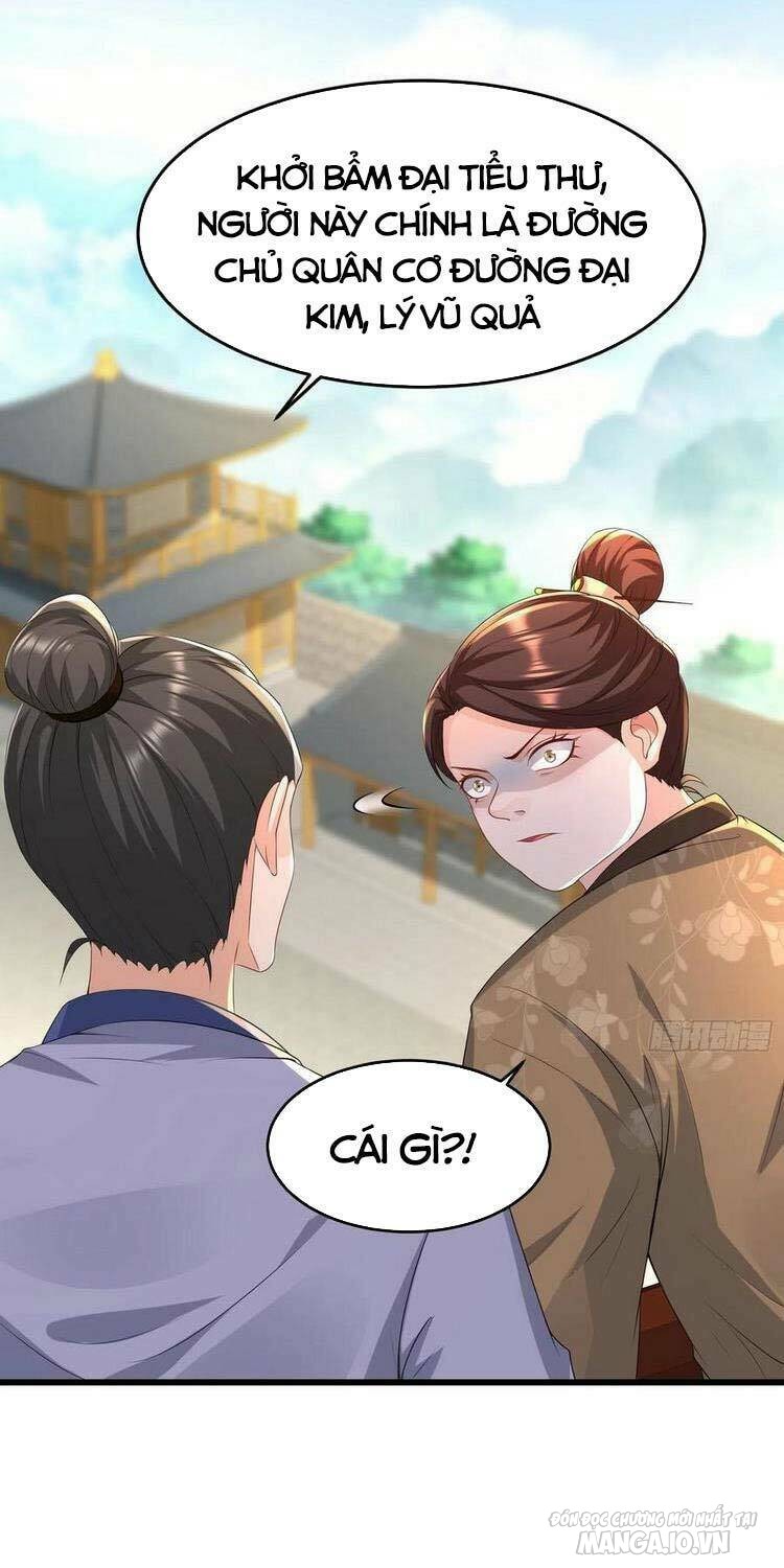 Người Ở Rể Bị Ép Thành Phản Diện Chapter 183 - Trang 2