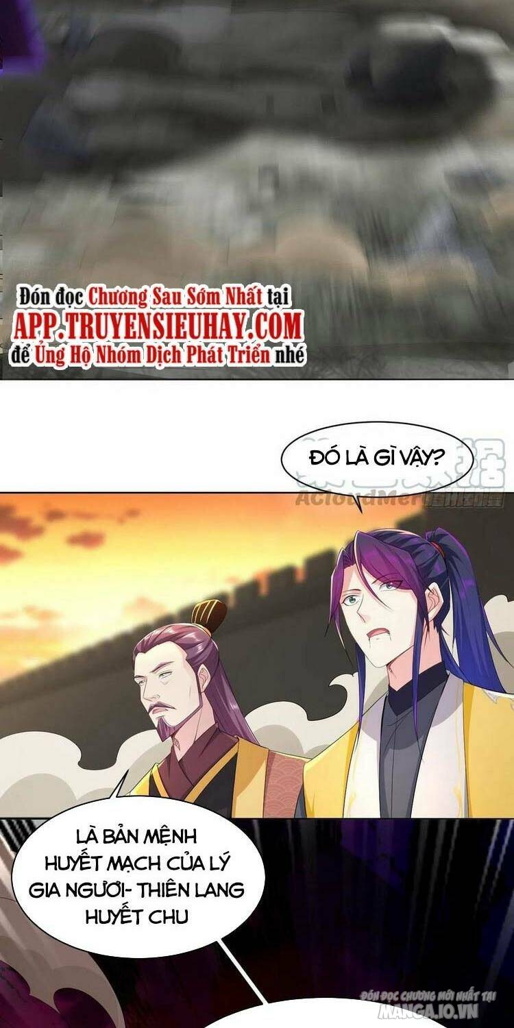 Người Ở Rể Bị Ép Thành Phản Diện Chapter 169 - Trang 2