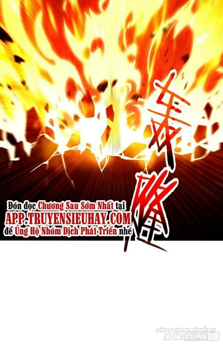 Người Ở Rể Bị Ép Thành Phản Diện Chapter 168 - Trang 2