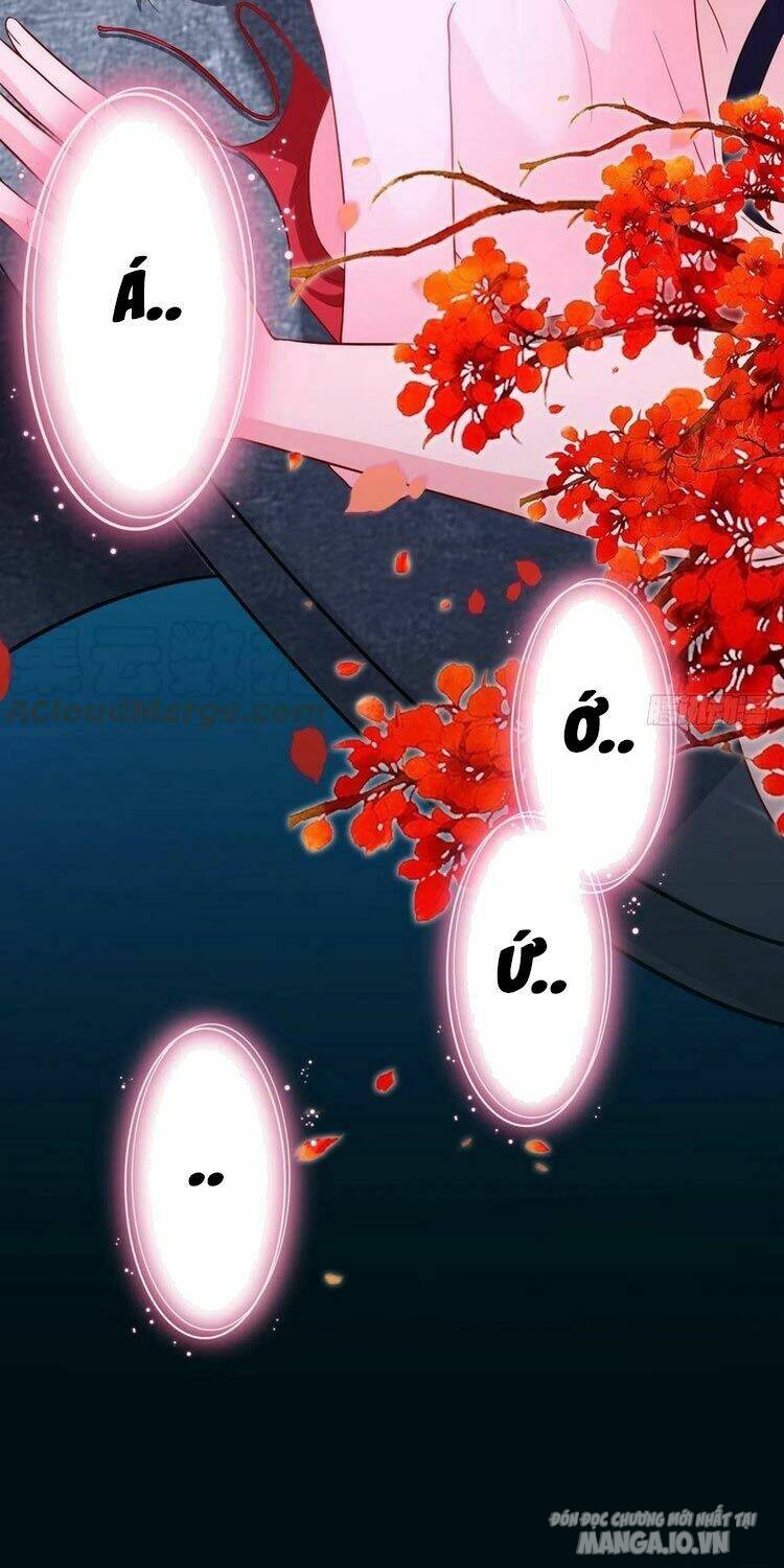 Người Ở Rể Bị Ép Thành Phản Diện Chapter 133 - Trang 2