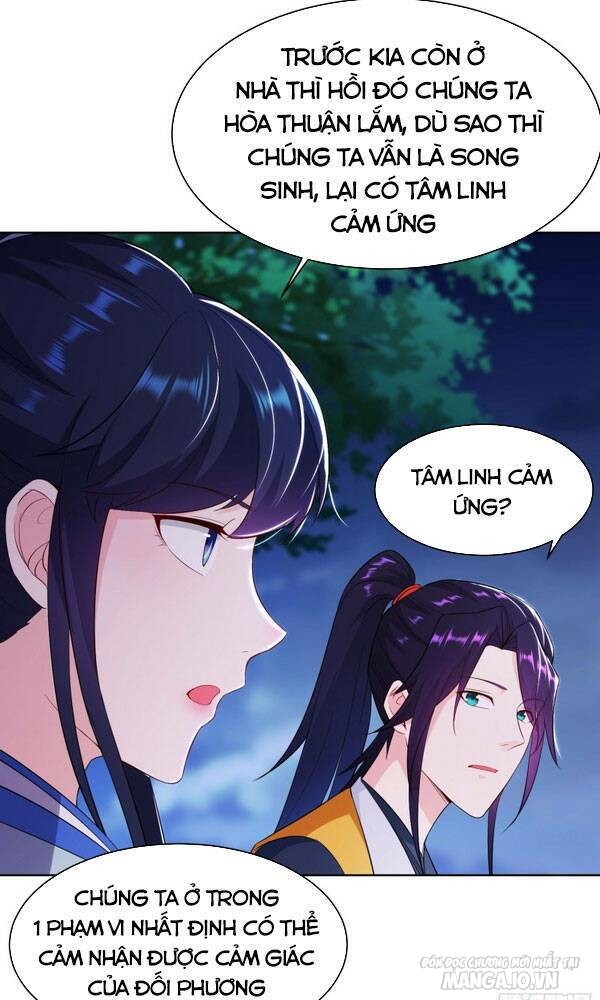 Người Ở Rể Bị Ép Thành Phản Diện Chapter 116 - Trang 2