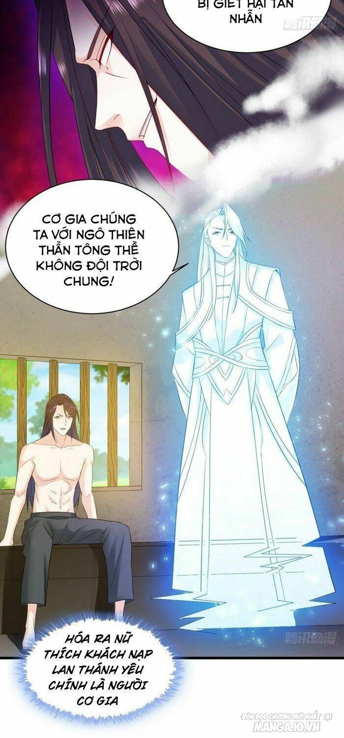 Người Ở Rể Bị Ép Thành Phản Diện Chapter 93 - Trang 2