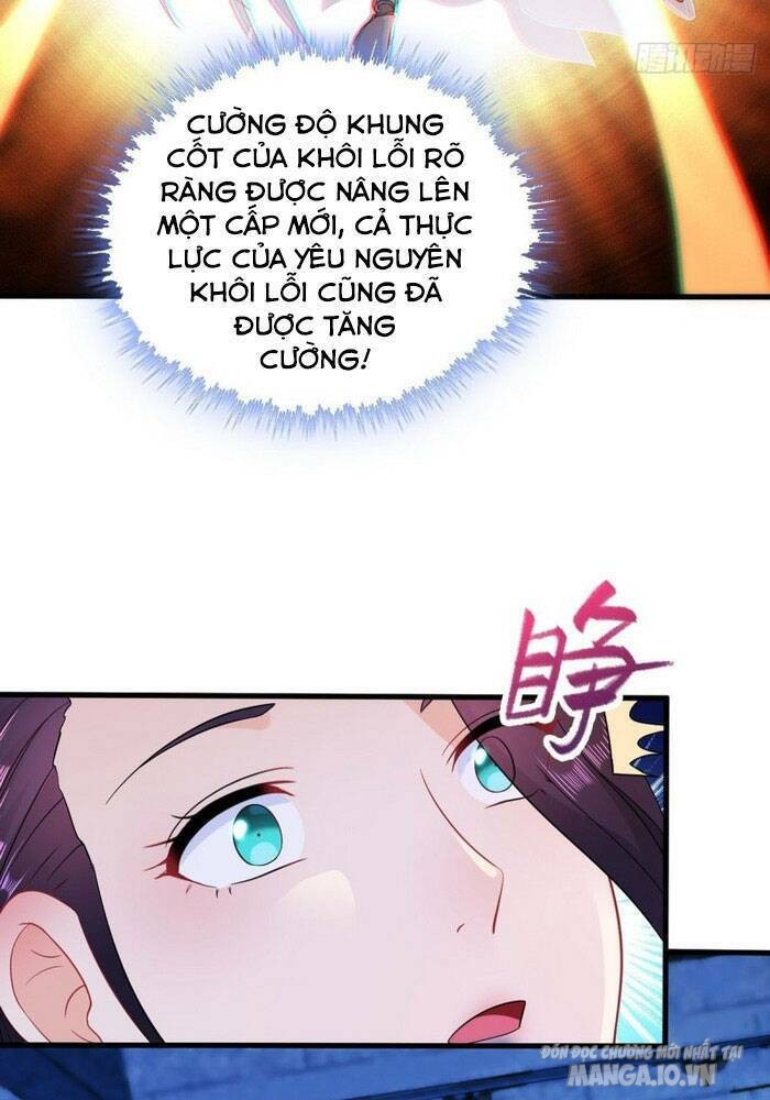 Người Ở Rể Bị Ép Thành Phản Diện Chapter 81 - Trang 2