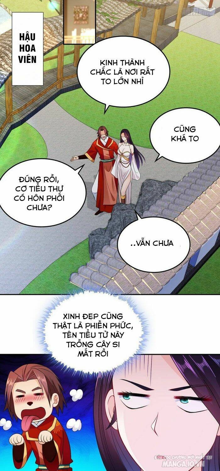 Người Ở Rể Bị Ép Thành Phản Diện Chapter 76 - Trang 2