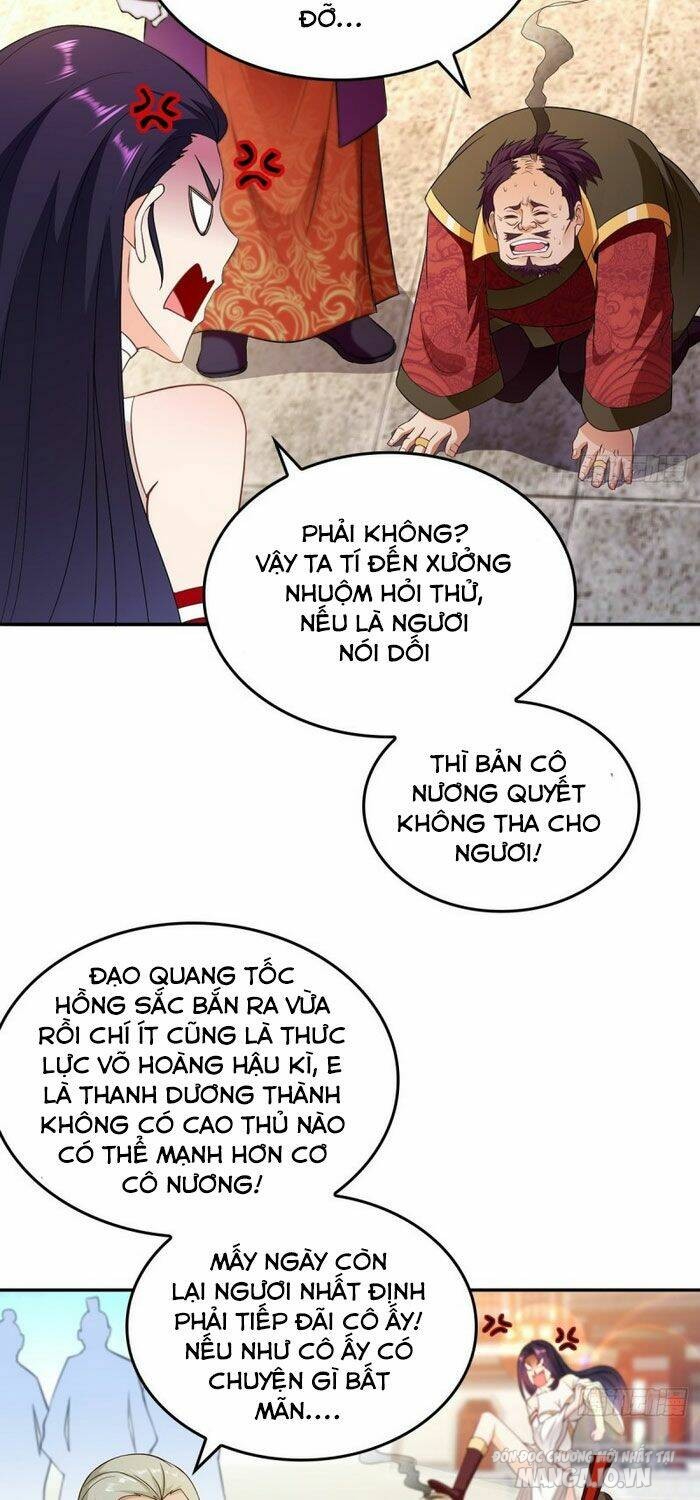 Người Ở Rể Bị Ép Thành Phản Diện Chapter 76 - Trang 2