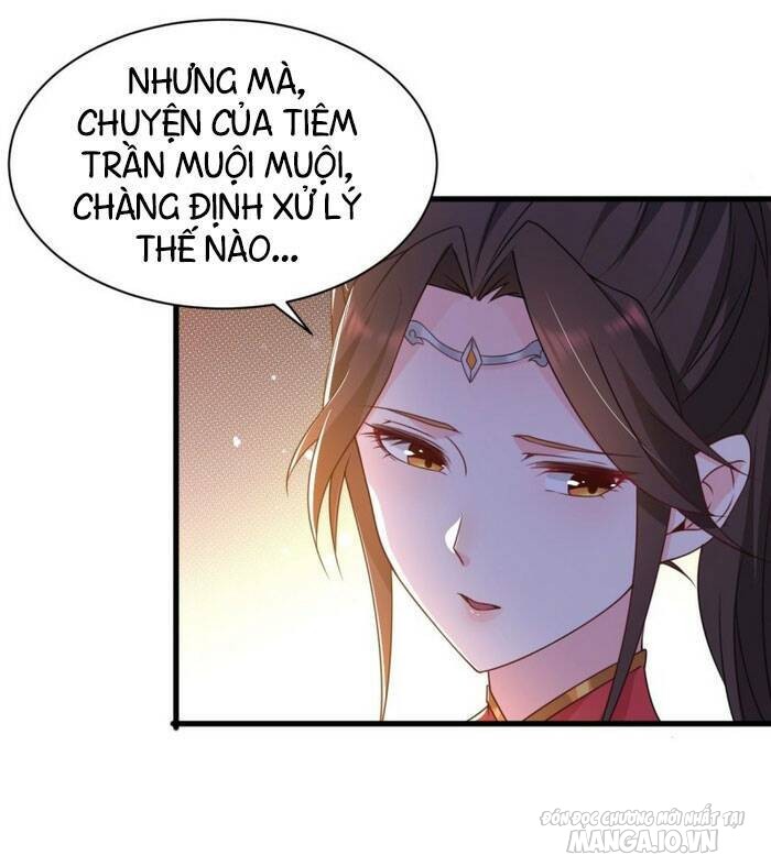 Người Ở Rể Bị Ép Thành Phản Diện Chapter 68 - Trang 2