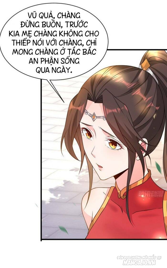 Người Ở Rể Bị Ép Thành Phản Diện Chapter 68 - Trang 2