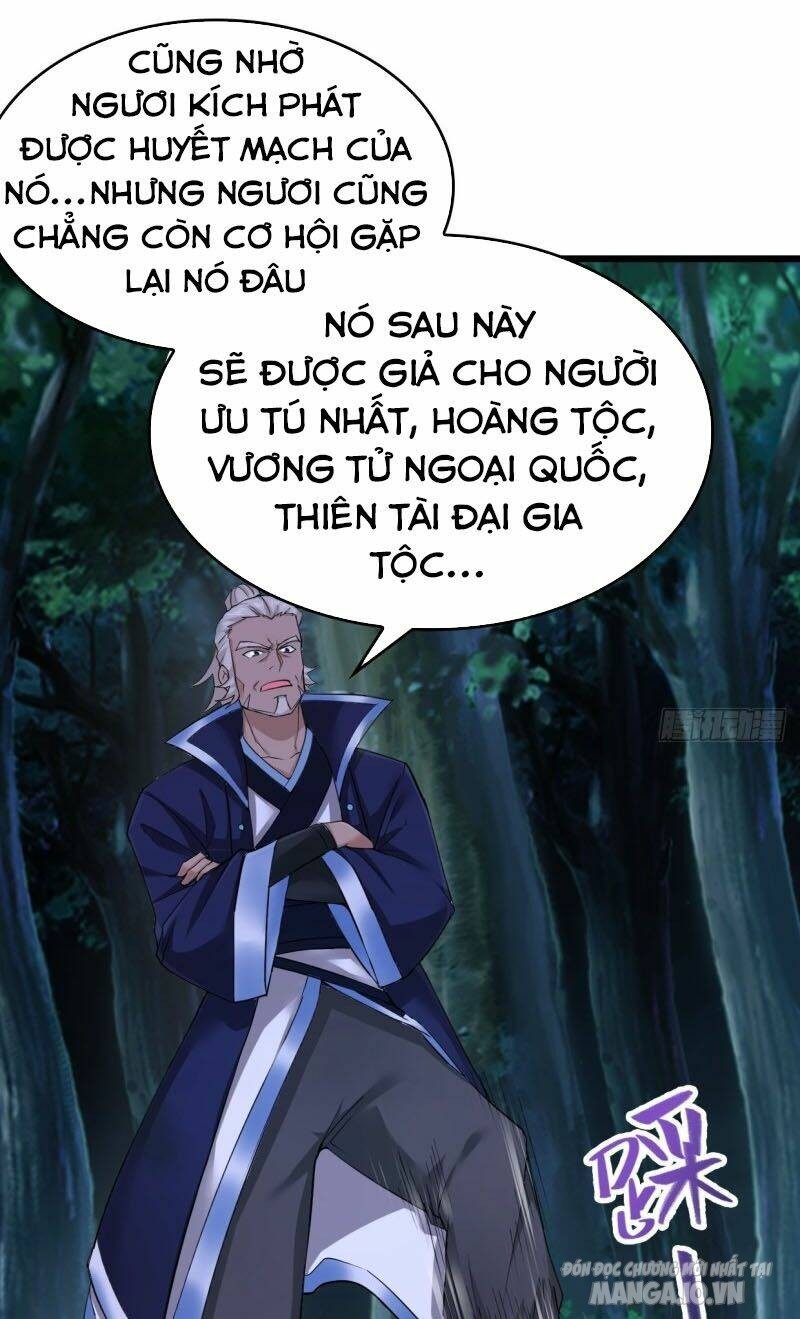 Người Ở Rể Bị Ép Thành Phản Diện Chapter 66 - Trang 2