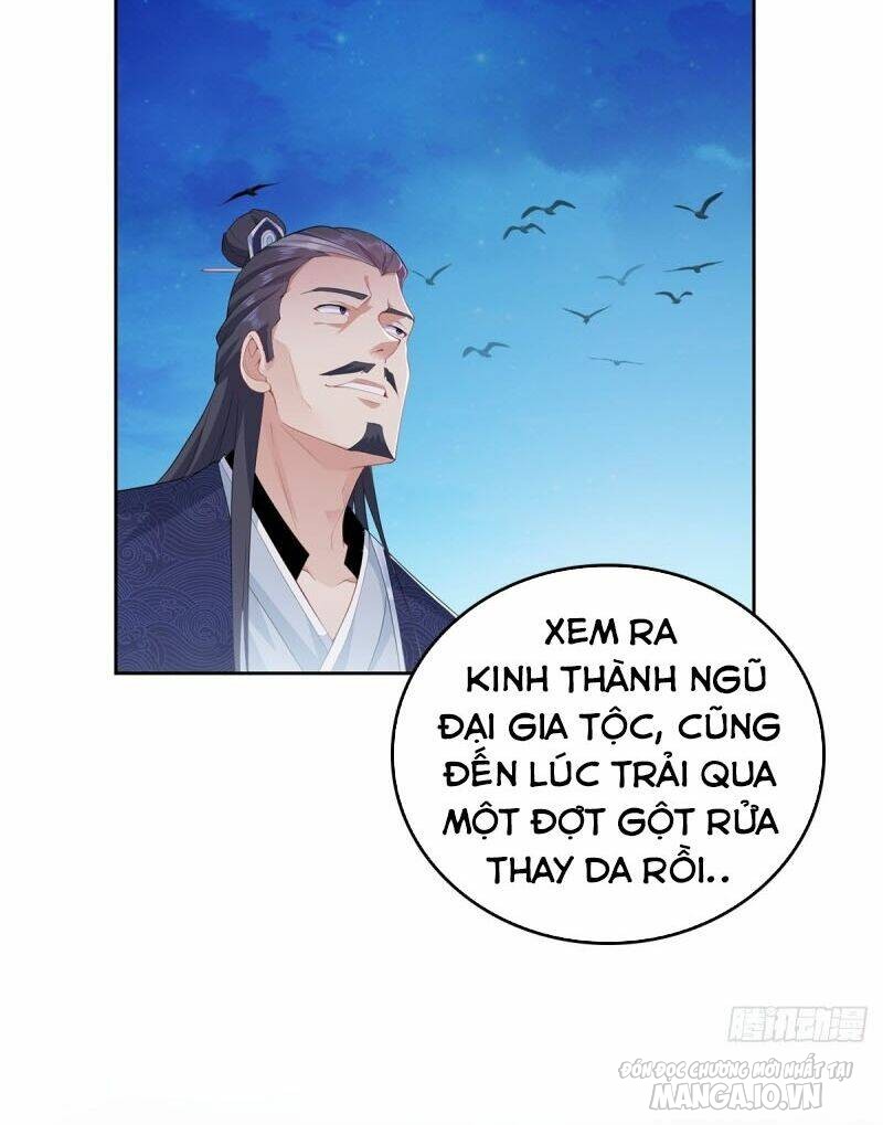 Người Ở Rể Bị Ép Thành Phản Diện Chapter 63 - Trang 2