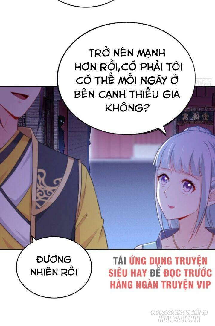 Người Ở Rể Bị Ép Thành Phản Diện Chapter 50 - Trang 2