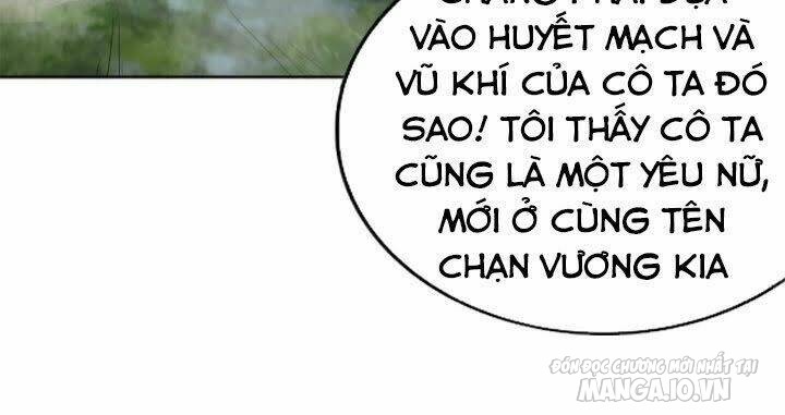 Người Ở Rể Bị Ép Thành Phản Diện Chapter 46 - Trang 2