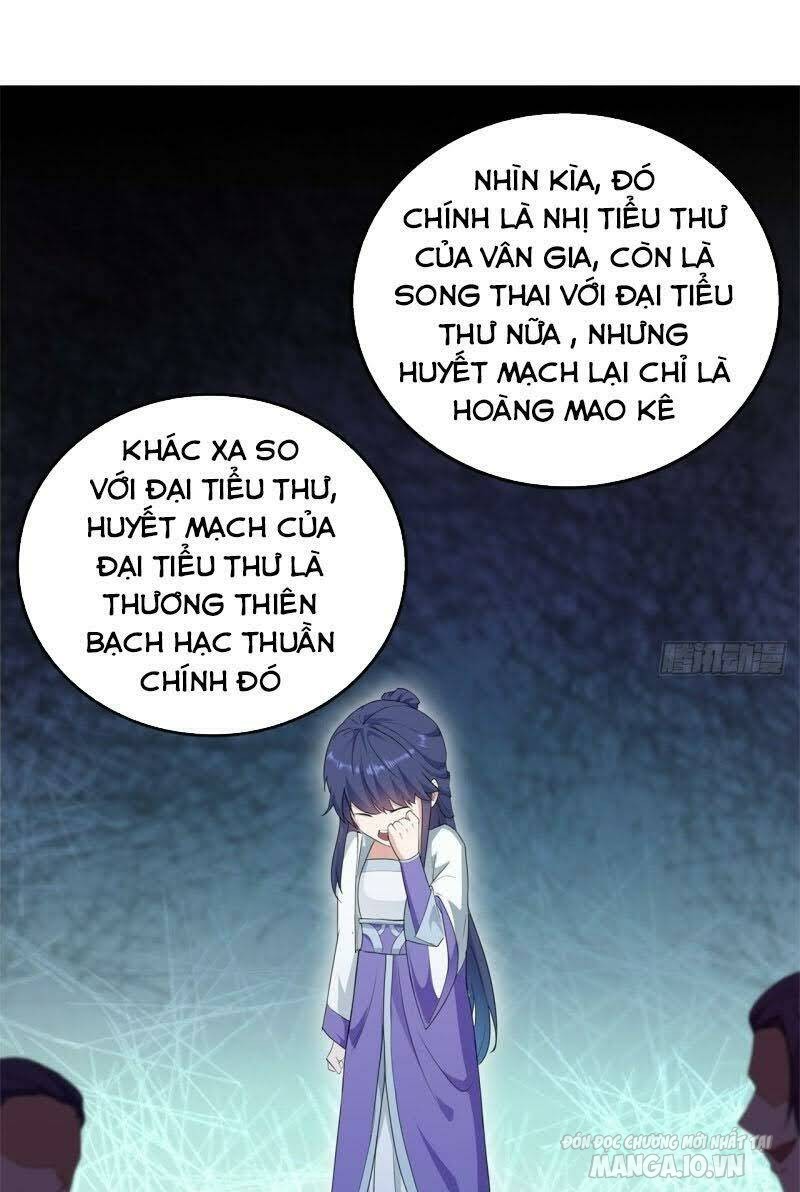 Người Ở Rể Bị Ép Thành Phản Diện Chapter 38 - Trang 2