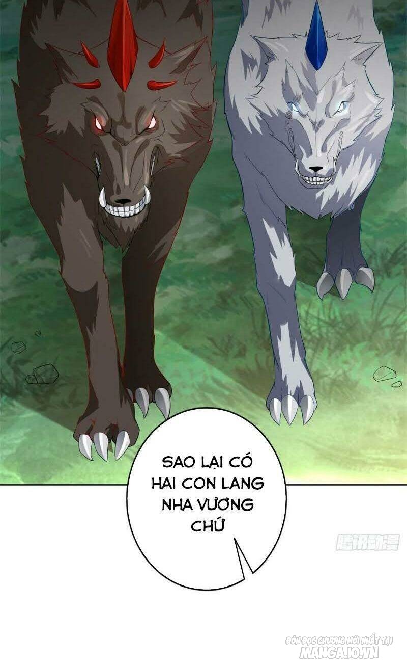 Người Ở Rể Bị Ép Thành Phản Diện Chapter 38 - Trang 2