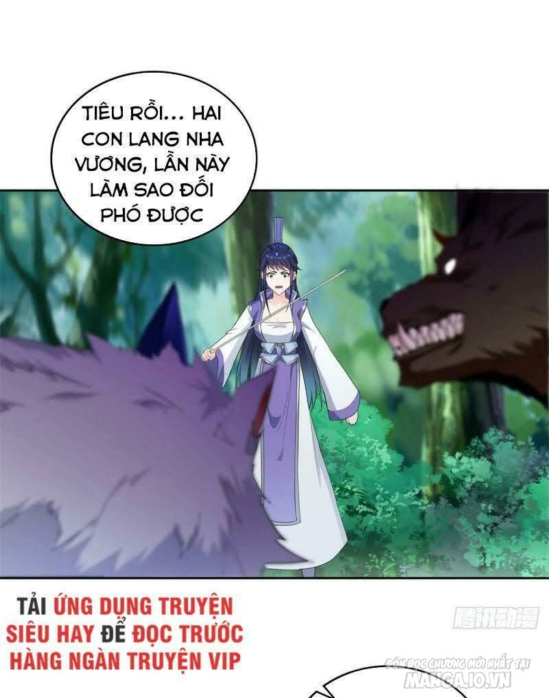 Người Ở Rể Bị Ép Thành Phản Diện Chapter 38 - Trang 2