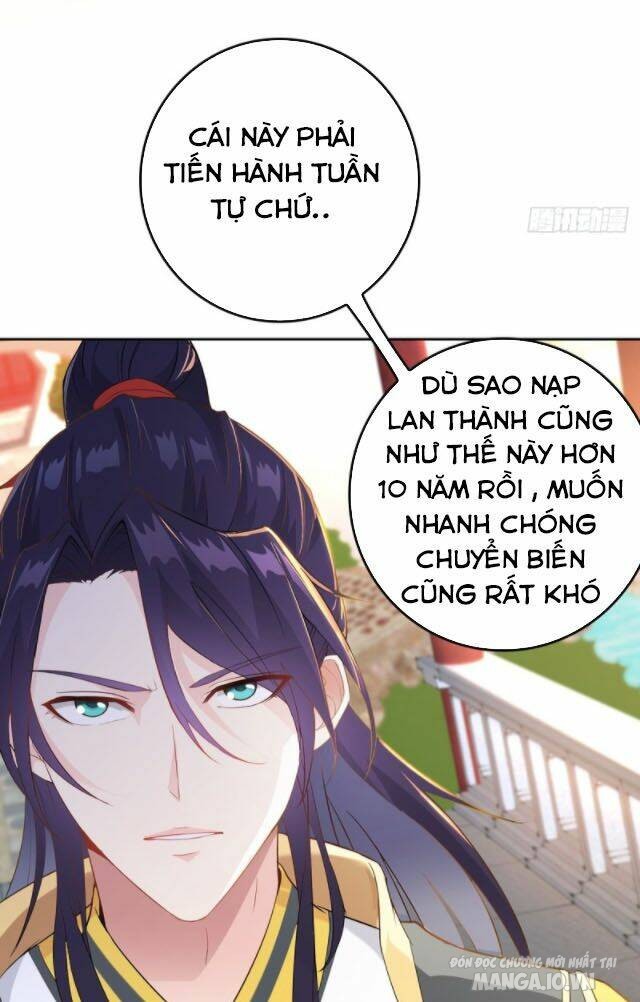 Người Ở Rể Bị Ép Thành Phản Diện Chapter 12 - Trang 2