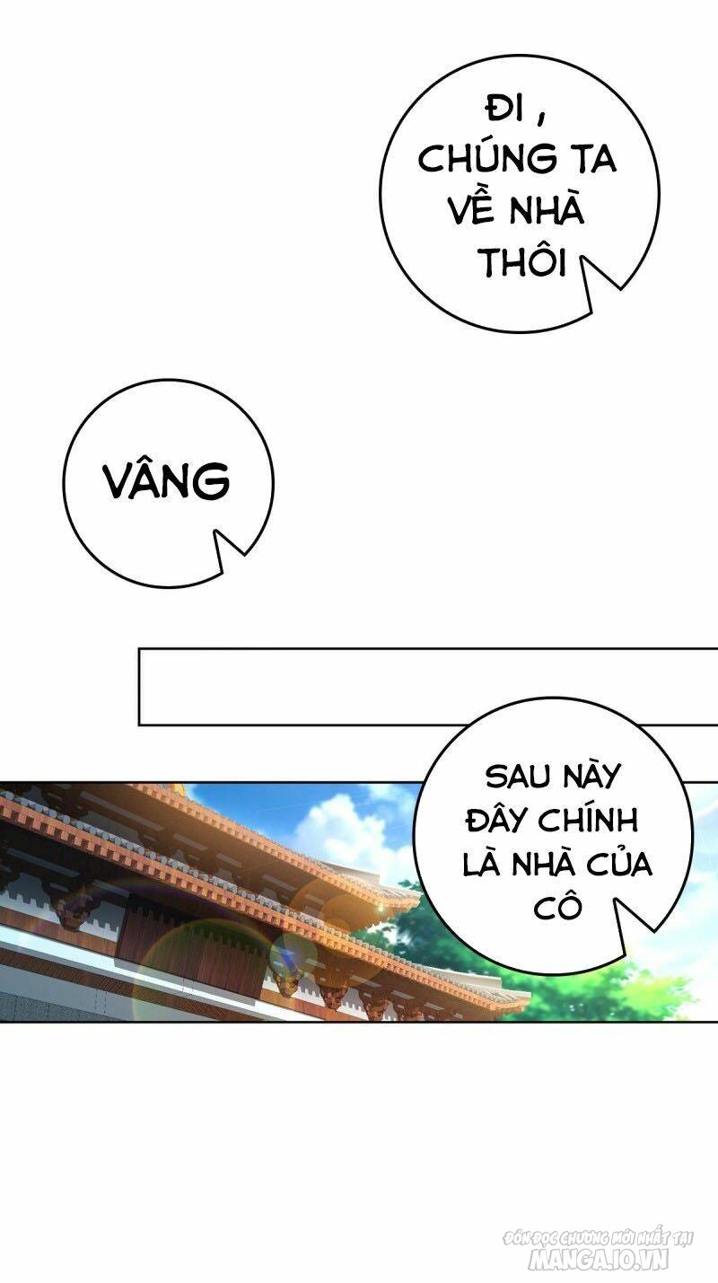 Người Ở Rể Bị Ép Thành Phản Diện Chapter 11 - Trang 2