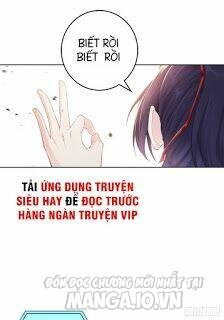 Người Ở Rể Bị Ép Thành Phản Diện Chapter 4 - Trang 2