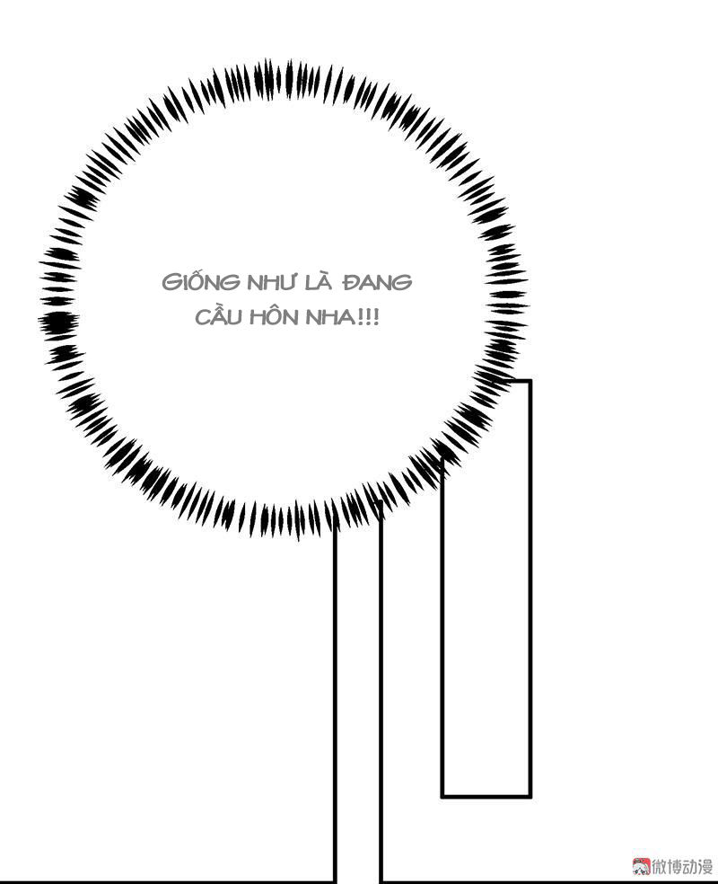 Tổng Tài Truy Thê: Phu Nhân Lại Chạy Trốn Chapter 13 - Trang 2