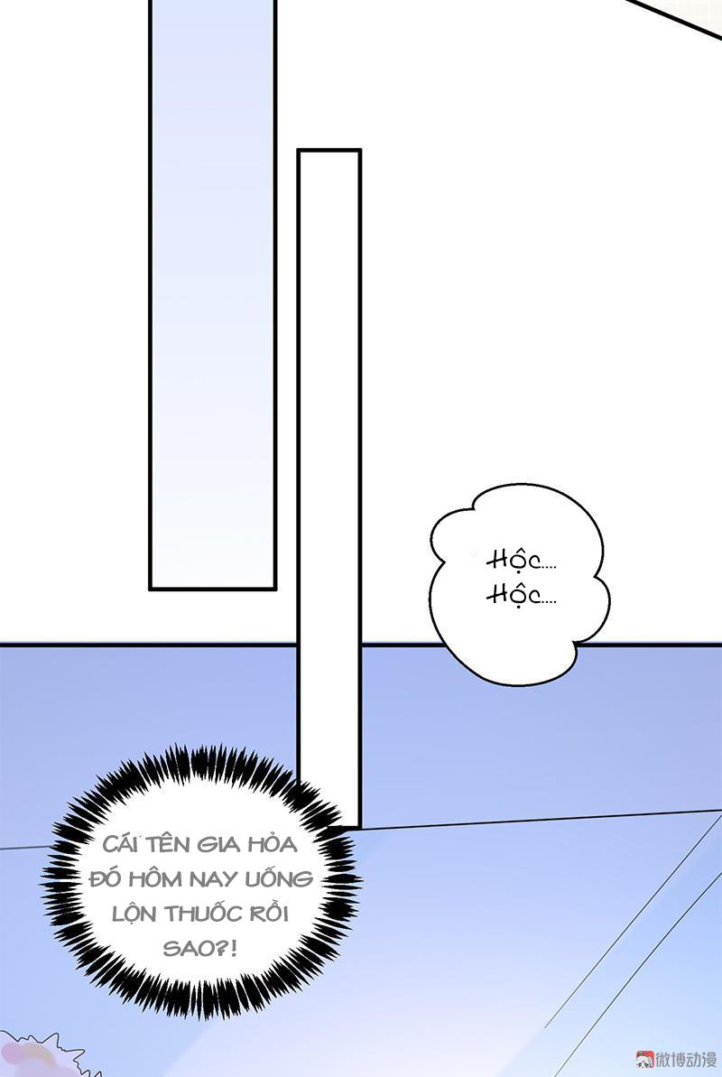 Tổng Tài Truy Thê: Phu Nhân Lại Chạy Trốn Chapter 13 - Trang 2