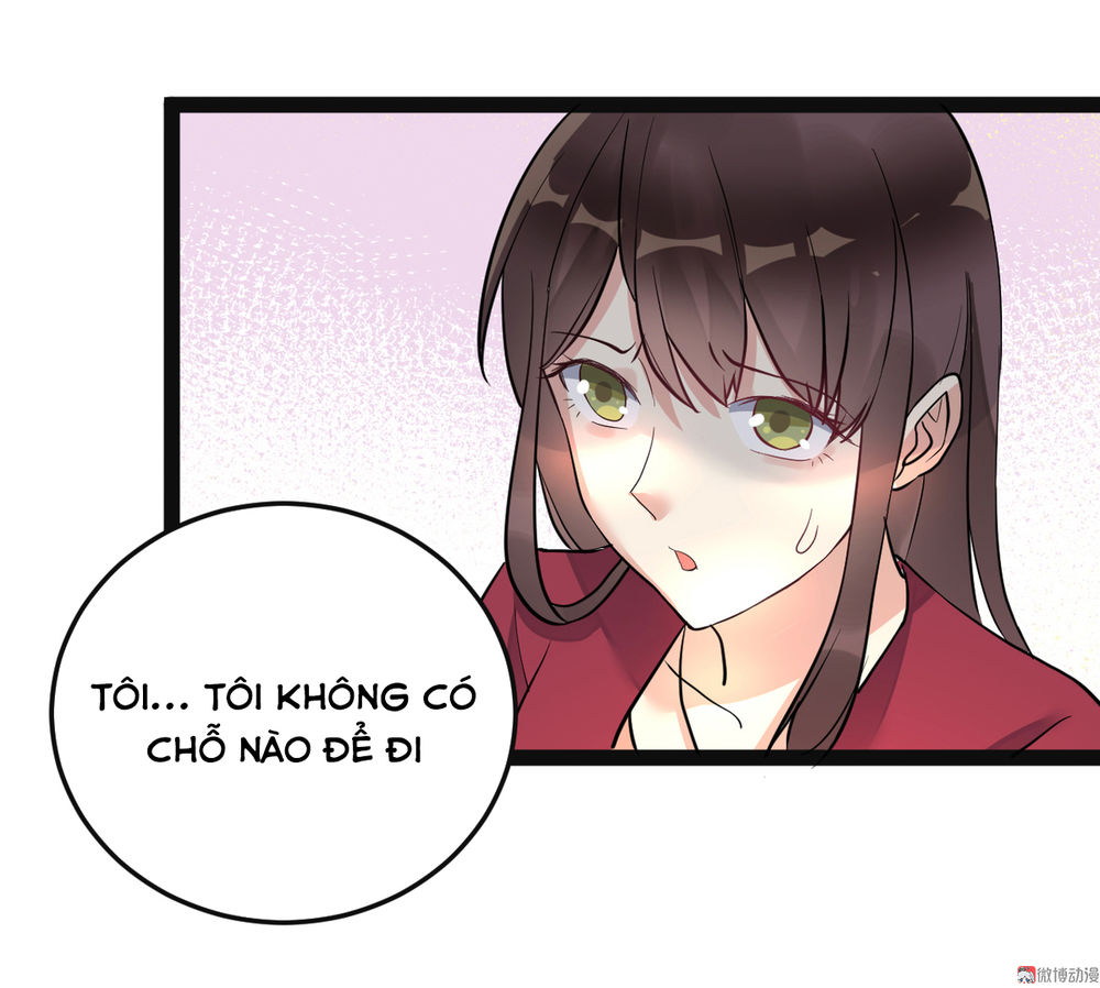 Tổng Tài Truy Thê: Phu Nhân Lại Chạy Trốn Chapter 5 - Trang 2