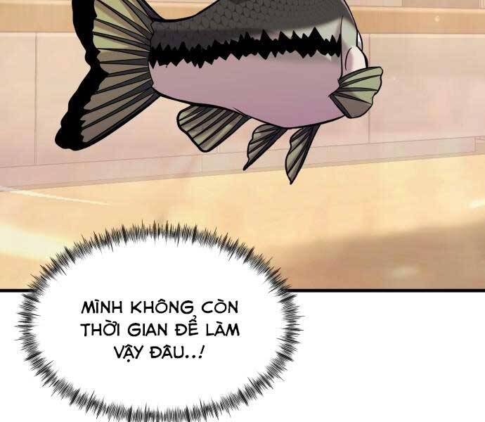 Hoá Thân Thành Cá Chapter 13 - Trang 2