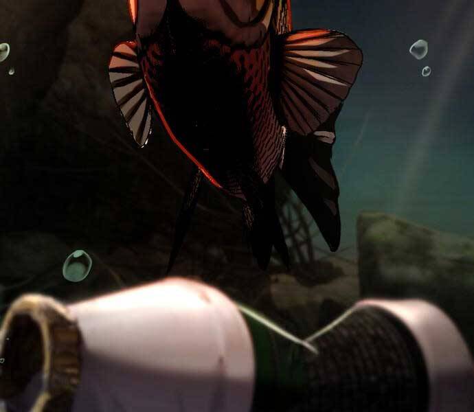 Hoá Thân Thành Cá Chapter 7 - Trang 2