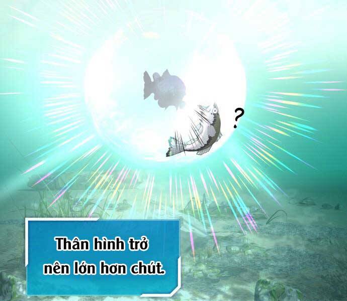 Hoá Thân Thành Cá Chapter 5 - Trang 2