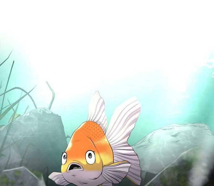 Hoá Thân Thành Cá Chapter 5 - Trang 2