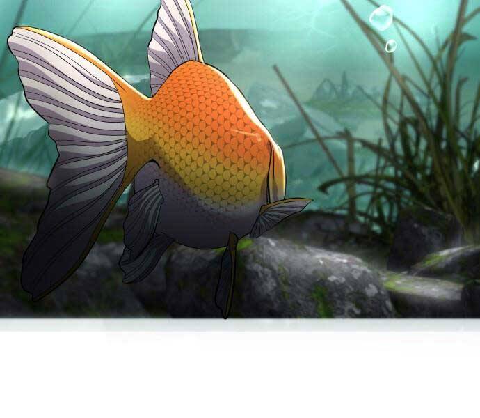 Hoá Thân Thành Cá Chapter 5 - Trang 2
