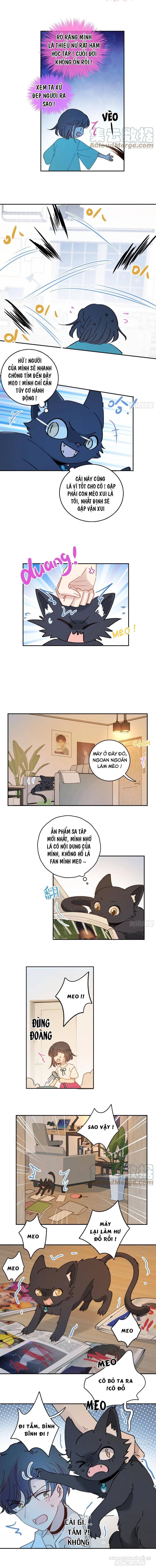 Khi Mộng Thần Yêu Chapter 62 - Trang 2