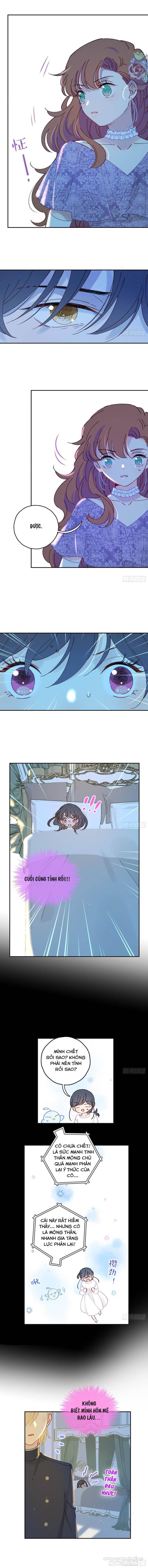 Khi Mộng Thần Yêu Chapter 43 - Trang 2