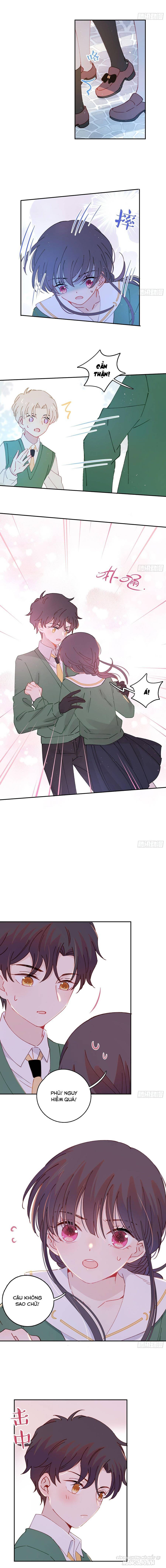 Khi Mộng Thần Yêu Chapter 21 - Trang 2