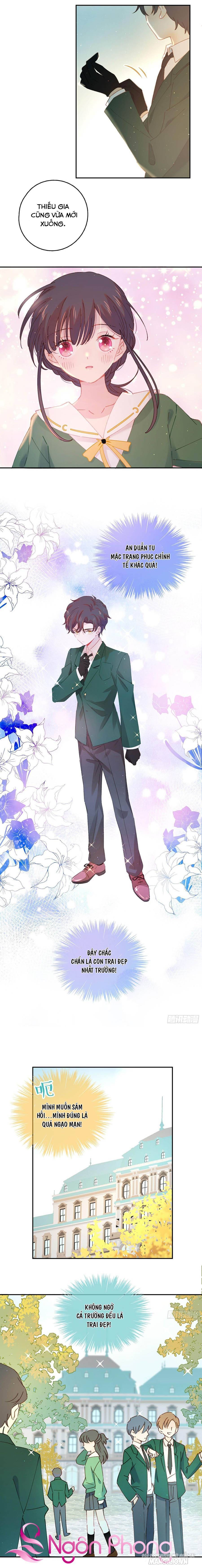 Khi Mộng Thần Yêu Chapter 10 - Trang 2
