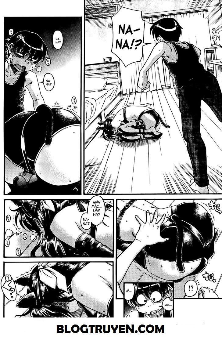 Nana To Kaoru Chapter 74 - Trang 2