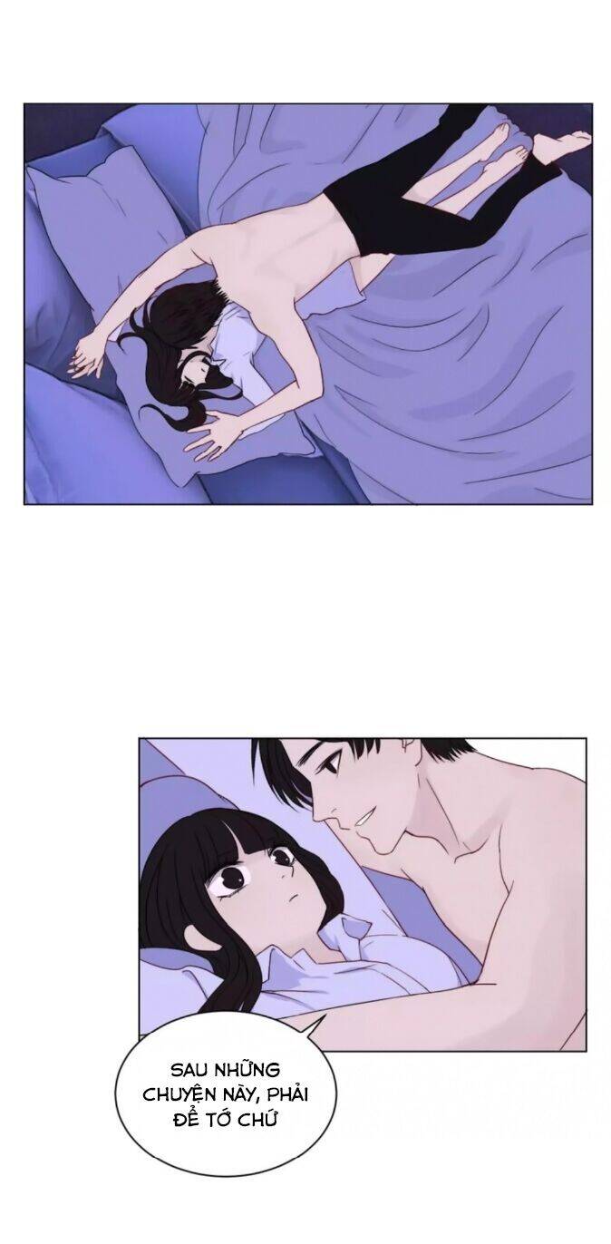 Chào Buổi Sáng, Hướng Dương Chapter 38 - Trang 2