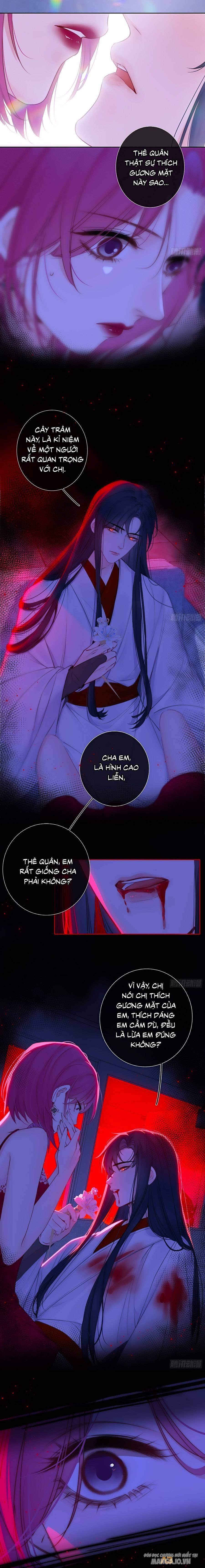 Kim Ốc Tàng Kiều Chapter 81 - Trang 2