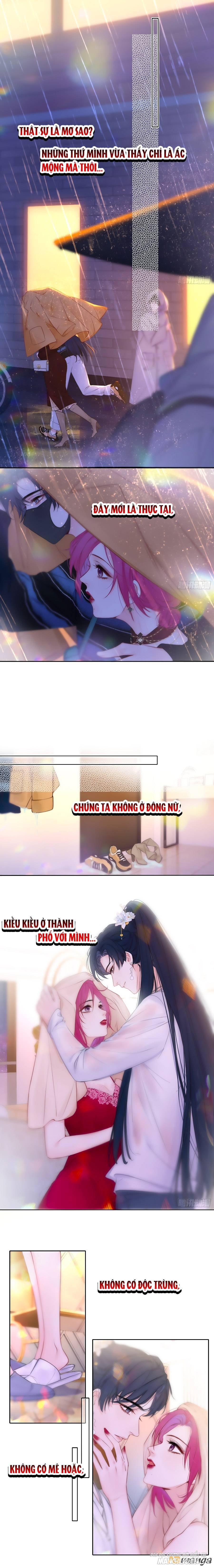 Kim Ốc Tàng Kiều Chapter 81 - Trang 2