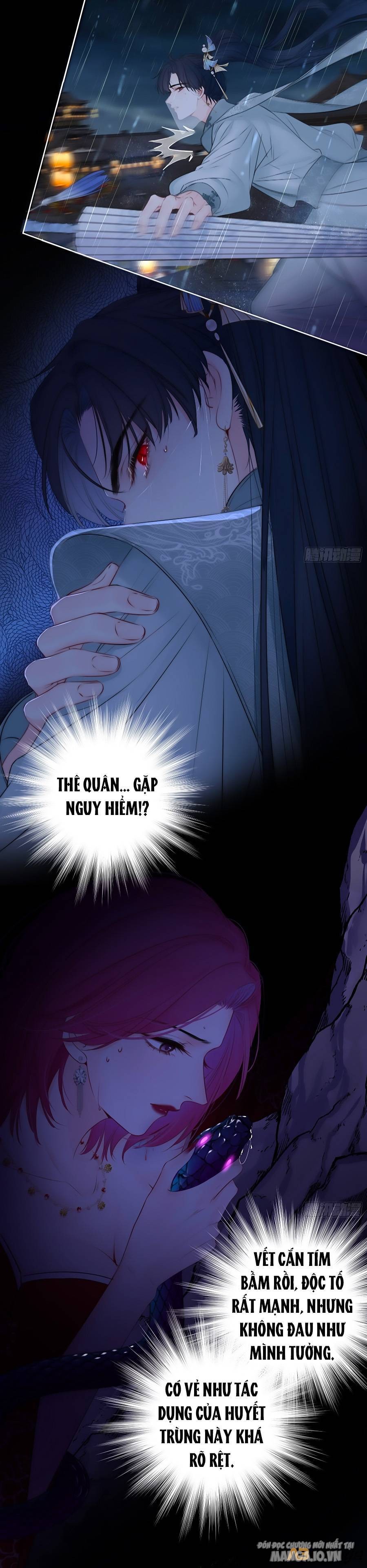 Kim Ốc Tàng Kiều Chapter 77 - Trang 2