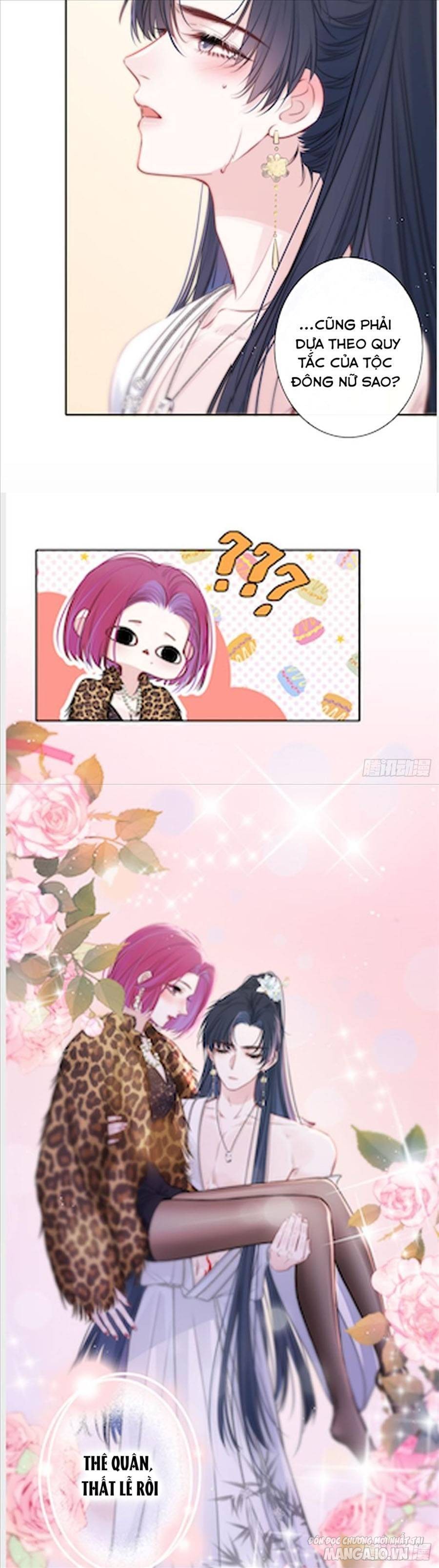 Kim Ốc Tàng Kiều Chapter 45 - Trang 2