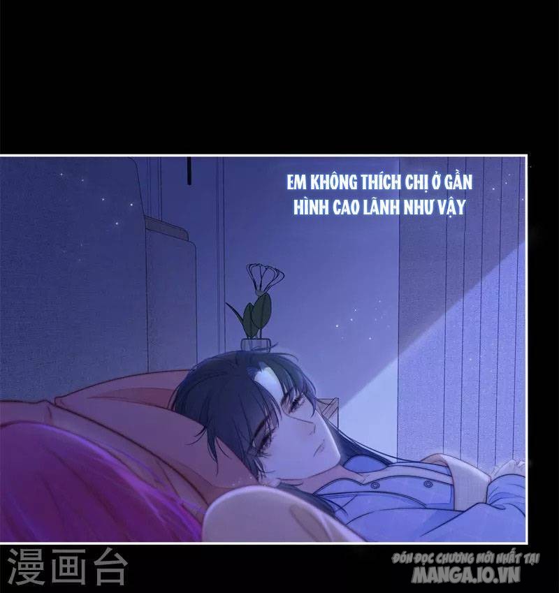 Kim Ốc Tàng Kiều Chapter 41 - Trang 2