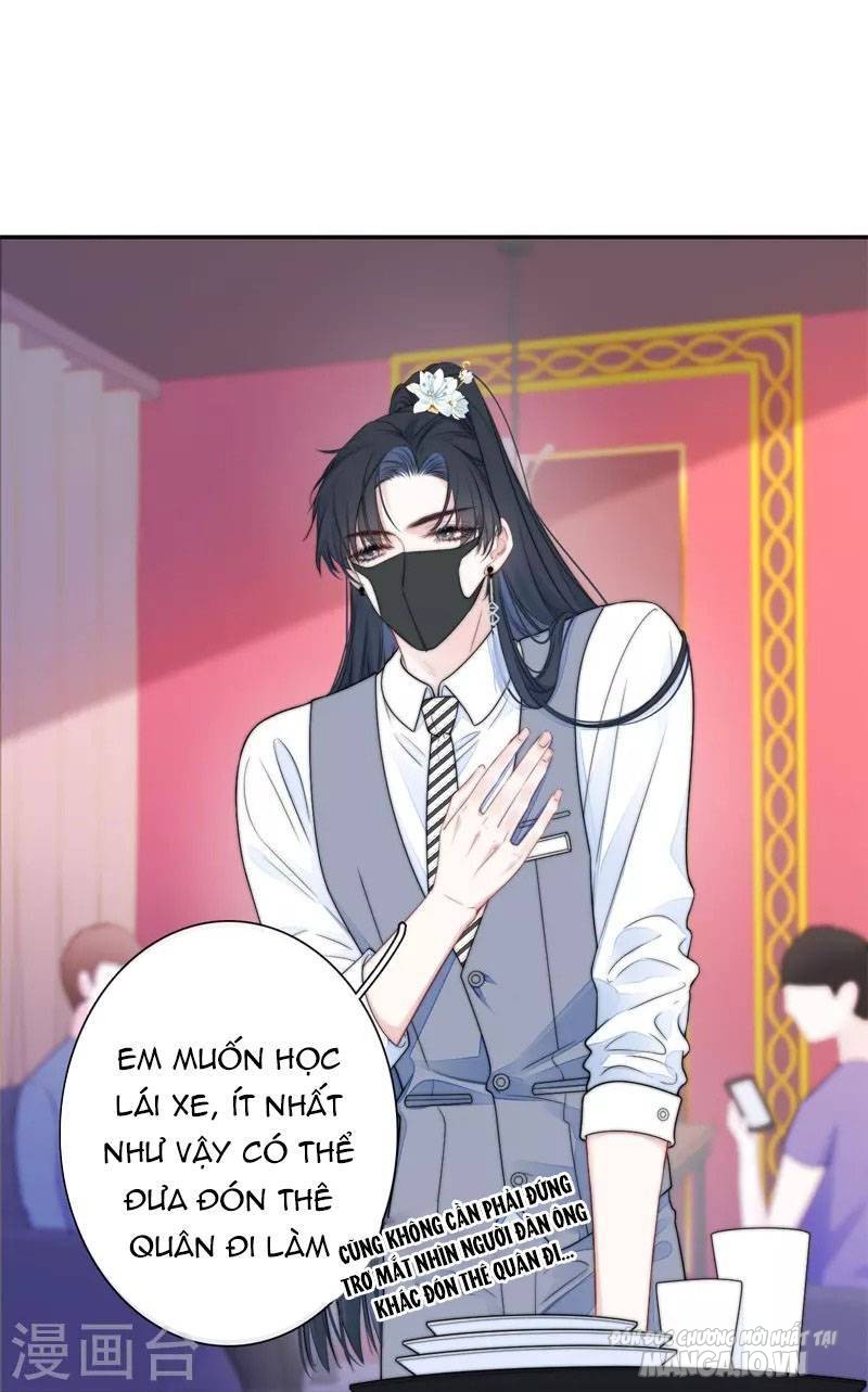 Kim Ốc Tàng Kiều Chapter 41 - Trang 2