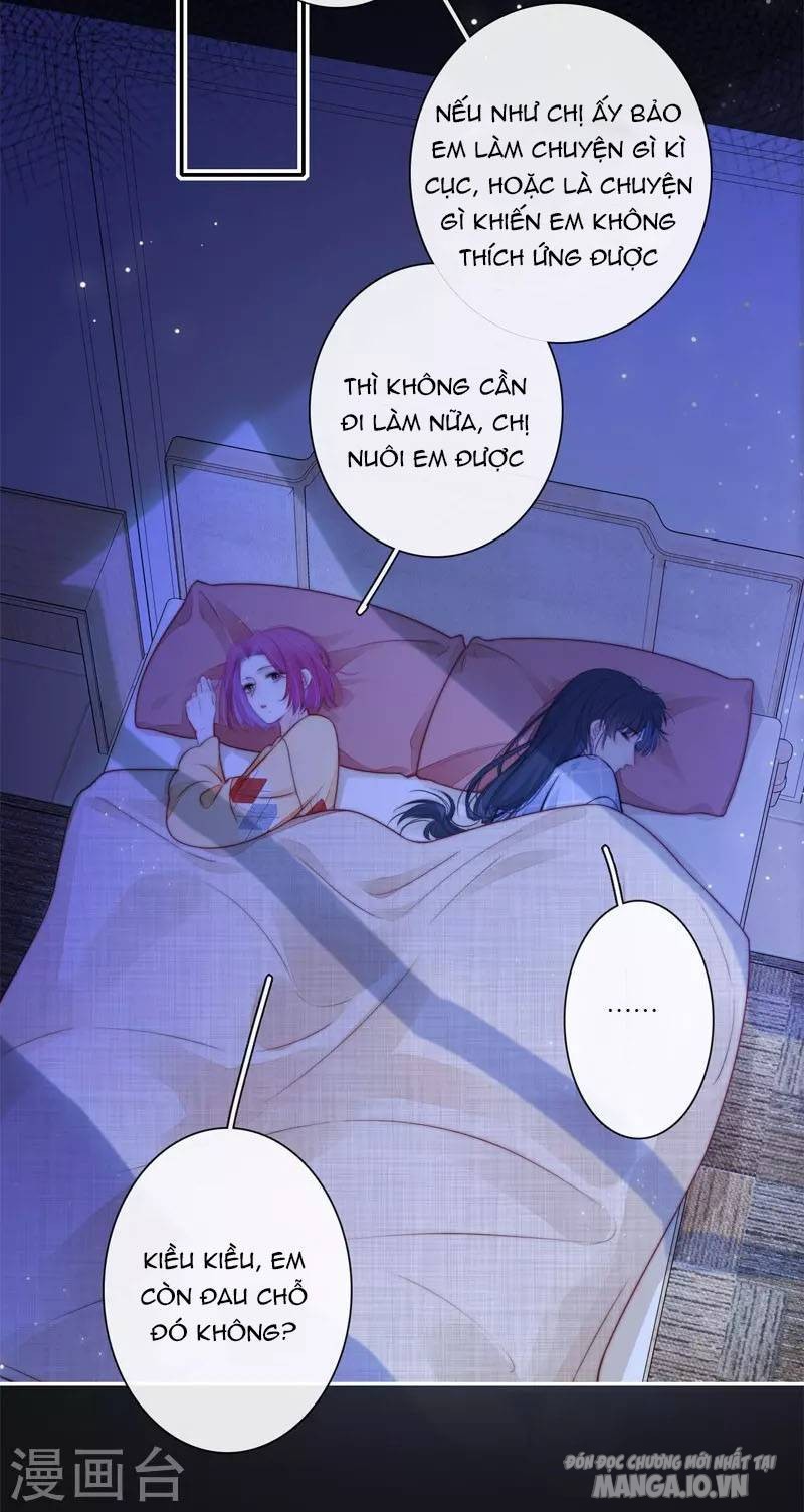 Kim Ốc Tàng Kiều Chapter 41 - Trang 2